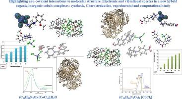 Highlighting non-covalent interactions to molecular structure, electronic and vibrational spectra in a new hybrid organic–inorganic cobalt complexes: Synthesis, characterization, experimental and computational studies