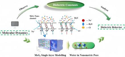 Unusual dielectric properties of NaCl solutions within confined MoS2 monolayer nanochannels