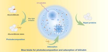 UV-activated “blue bulbs” for photodecomposition and adsorption of bilirubin: Strategic nanoarchitectonics to remove protein-bound toxins