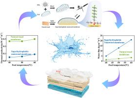 Superhydrophobic nanostructured wood membrane for thermal distillation desalination