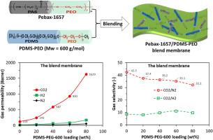 Elevating gas separation performance of Pebax-based membranes by blending with a PDMS-PEO block copolymer for CO2 capture and separation