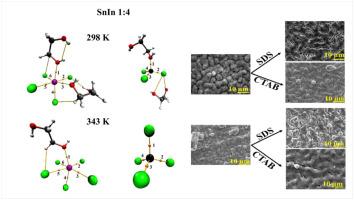 Theoretical and experimental insights of two surfactants’ effects on SnIn electrodeposited coatings from ethaline