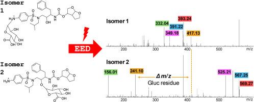 Identification of isomeric glucuronides by electronic excitation dissociation tandem mass spectrometry