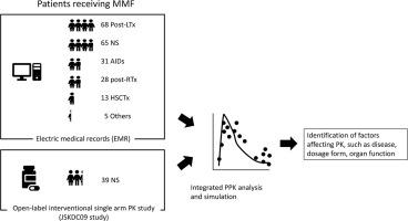 Population pharmacokinetic analysis in children with different diseases treated with mycophenolate mofetil—Integrated analysis of clinical trials and real-world clinical data