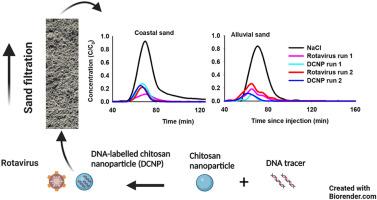 DNA-labeled chitosan nanoparticles: A potential new surrogate for assessing rotavirus attenuation and transport in sand filtration water treatment