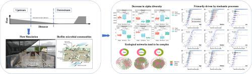 Effects of reduced flow gradient on benthic biofilm communities’ ecological network and community assembly