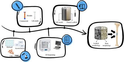 Commercially available bioinks and state-of-the-art lab-made formulations for bone tissue engineering: A comprehensive review