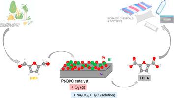 Characterization and performance of carbon supported platinum-bismuth bimetallic catalysts tested in 5-hydroxymethylfurfural aerobic oxidation to 2,5-furandicarboxylic acid