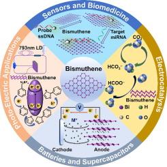 Recent advances and future perspectives of bismuthene: From preparation to applications