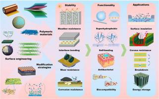 Surface modification engineering on polymer materials toward multilevel insulation properties and subsequent dielectric energy storage