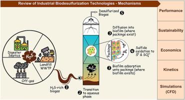 Biodesulfurization: Effective and sustainable technologies for biogas hydrogen sulfide removal