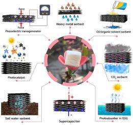 Functionalized wood sponges: Advanced biomass materials for renewable energies, freshwater production, energy storage, and environmental remediation