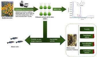 Insecticidal activity of the ethanol extracts from Rudbeckia hirta: Efficacy on Lackey moth (Malacosoma neustria testacea) and impact on non-target organisms