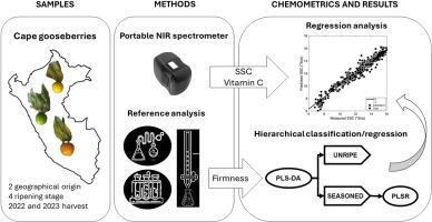 Portable near infrared spectrometer to predict physicochemical properties in cape gooseberry (Physalis peruviana L.): An approach using hierarchical classification/regression modelling