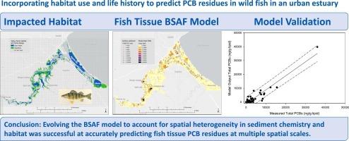 Incorporating habitat use and life history to predict PCB residues in wild fish in an urban estuary