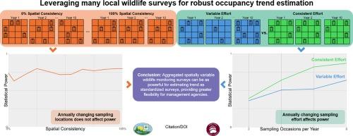 Leveraging local wildlife surveys for robust occupancy trend estimation