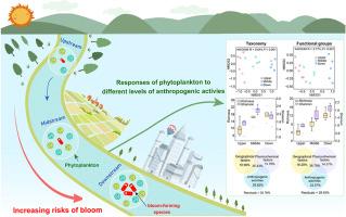 Anthropogenic activities disturb phytoplankton taxa and functional groups in an urban river