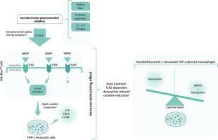 Immunostimulatory effects of isomalto/malto-polysaccharides via TLR2 and TLR4 in preventing doxycycline-induced cytokine loss