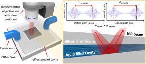 Liquid refractive index measurements using cavity in silicon via near-infrared interferometry