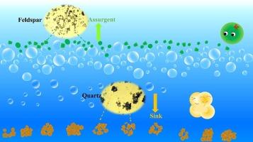 Mixed surfactants with solubilization behaviors: Separation of feldspar and quartz by self-assembly flotation