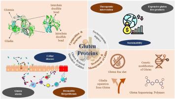 Gluten proteins: A comprehensive review