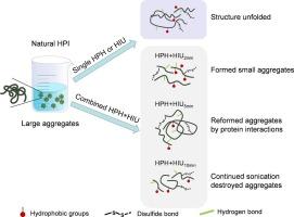 Modification of hempseed protein isolate using a novel two-stage method applying high-pressure homogenization coupled with high-intensity ultrasound