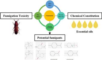 Discovering potential fumigants against Tribolium castaneum from essential oils using GC-MS and chemometric approaches