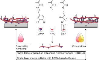 Codeposition strategies for improved layer stability in bio-inspired catechol-containing adhesives