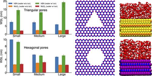 The Impact of Pore Geometry on Frictional Properties of hBN and MoS2 Nanomaterials