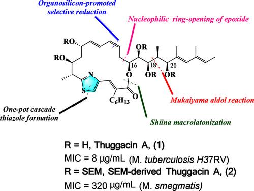 Efforts toward the Total Synthesis of Thuggacin A