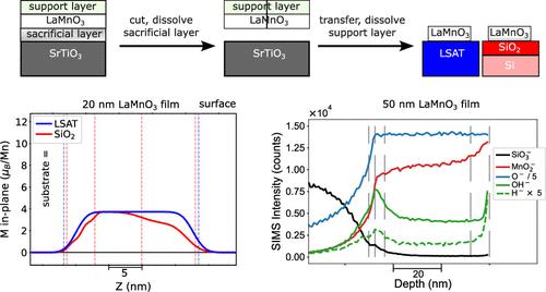 Manipulating Interface Magnetism in Manganite Thin Film Membranes by Substrate Surface Chemistry