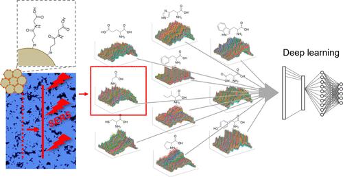 Rapid Surface-Enhanced Raman Scattering Imaging and Deep Learning for Highly Sensitive Discrimination of Amino Acids and Peptides