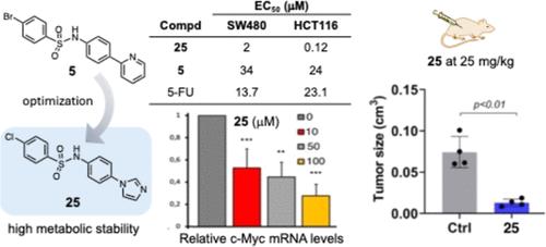 Development of N-(4-(1H-Imidazol-1-yl)phenyl)-4-chlorobenzenesulfonamide, a Novel Potent Inhibitor of β-Catenin with Enhanced Antitumor Activity and Metabolic Stability