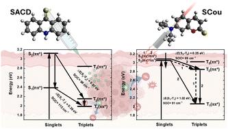 Electronic relaxation pathways in thio-acridone and thio-coumarin: two heavy-atom-free photosensitizers absorbing visible light†