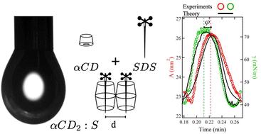 Interfacial viscoelasticity in oscillating drops of cyclodextrin–surfactant aqueous solution: experiments and theory