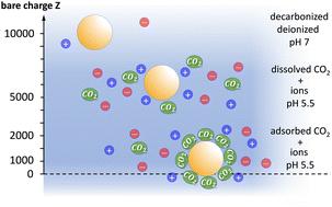 CO2-induced drastic decharging of dielectric surfaces in aqueous suspensions†