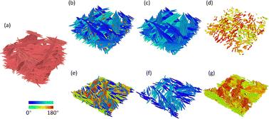 Co-assembly of cellulose nanocrystals and gold nanorods: insights from molecular dynamics modelling†