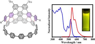 Direct π-extension of a conjugated carbon nanohoop using a zipper method†