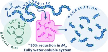 Aqueous degradability of water-soluble, thioester-containing polyacrylamides with UCST-type behaviour in salt solutions obtained by rROP†