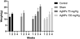 In vitro and in vivo evaluation of anti-tumorigenesis potential of nano silver for gastric cancer cells