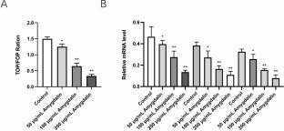 Amygdalin inhibits endometrial stromal cell proliferation, migration, and invasion in endometriosis mice via inhibiting Wnt/β-catenin signaling