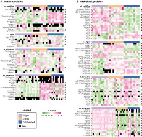 Conserved and Unique Protein Expression Patterns Across Reproductive Stage Transitions in Social Hymenopteran Queens