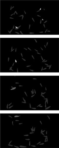 BiFormer Attention-Guided Multiscale Fusion Mask2former Networks for Fish Abnormal Behavior Recognition and Segmentation