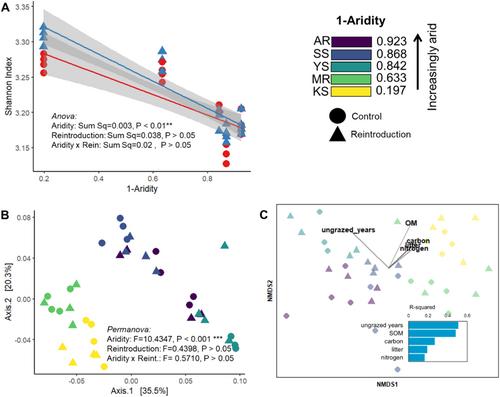 Aridity Structures the Microbial Potential for Carbon Cycling and Mediates the Impact of Mammal Bioturbation at the Continental Scale