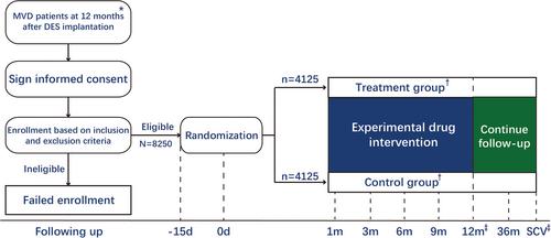 Rationale and Design of Dual Antiplatelet Therapy in Patients with Coronary Multi-Vessel Disease (DAPT-MVD): A Multicenter, Randomized, Controlled Trial