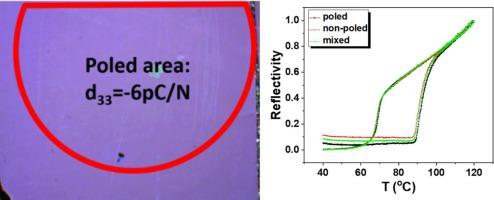 Investigation of the effect of ferroelectric polarization on the spin state of spin crossover complexes embedded in a piezopolymer matrix