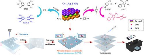 Portable paper-based microfluidic devices with Cu1-xAgxS NPs modification for multiplex intelligent visualized detection of adrenaline and glucose simultaneously