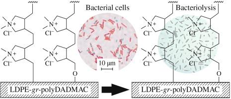 Creation of biocidal polyethylene surface using plasma