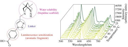 Water-soluble lanthanide complexes with bispidine-substituted benzoic acid for luminescent thermometry in a physiological range