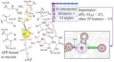 Towards accurate machine learning predictions of properties of the P–O bond cleaving in ATP upon enzymatic hydrolysis